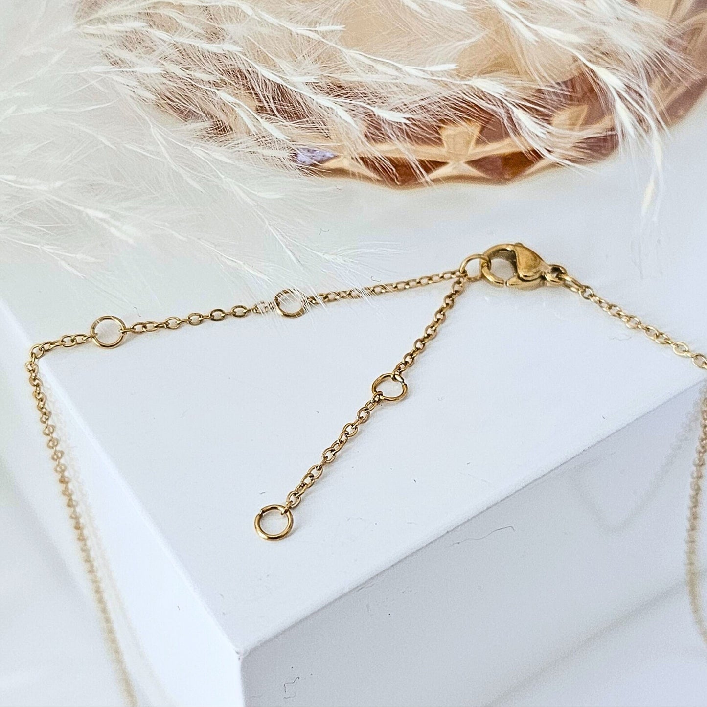 Pfotenabdruck Kette | Hunde Erinnerungs-Schmuck | Pfotenabdruck Anhänger | personalisiertes Geschenk | Hundemarke personalisiert